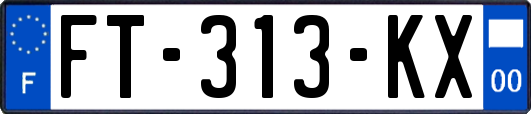 FT-313-KX