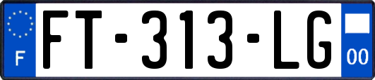 FT-313-LG