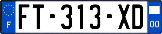 FT-313-XD