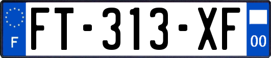 FT-313-XF