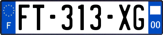 FT-313-XG