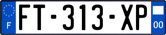 FT-313-XP
