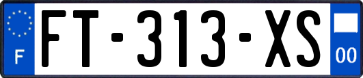 FT-313-XS