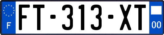 FT-313-XT