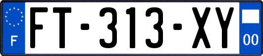 FT-313-XY