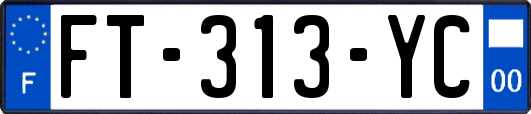 FT-313-YC