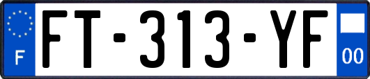 FT-313-YF