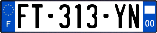 FT-313-YN