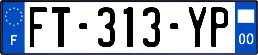 FT-313-YP