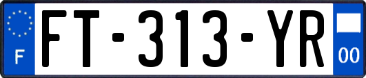FT-313-YR