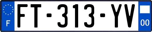 FT-313-YV