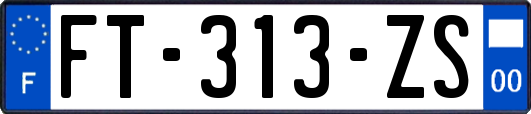 FT-313-ZS