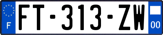 FT-313-ZW