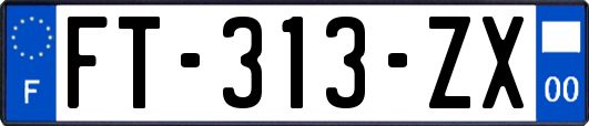 FT-313-ZX