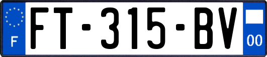 FT-315-BV