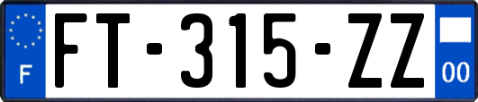 FT-315-ZZ