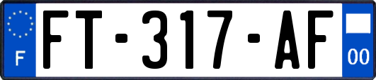 FT-317-AF