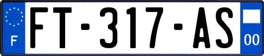 FT-317-AS