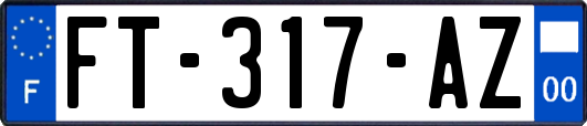 FT-317-AZ