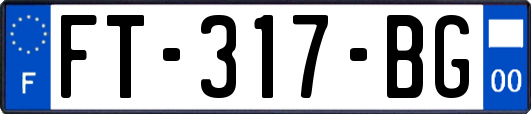 FT-317-BG