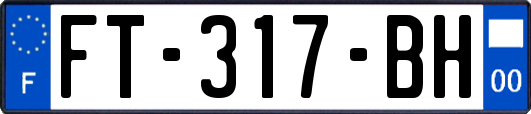 FT-317-BH