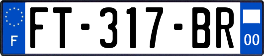 FT-317-BR