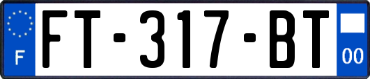 FT-317-BT