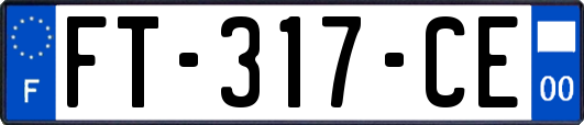 FT-317-CE