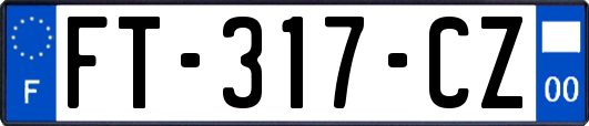 FT-317-CZ