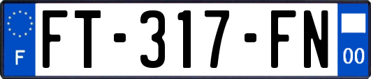 FT-317-FN