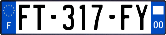 FT-317-FY