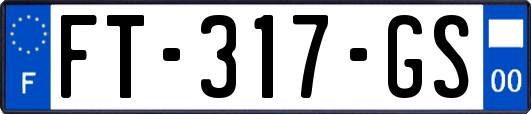 FT-317-GS