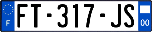 FT-317-JS