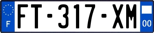 FT-317-XM