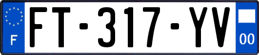 FT-317-YV