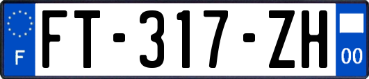 FT-317-ZH