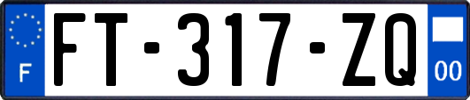 FT-317-ZQ