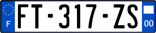 FT-317-ZS