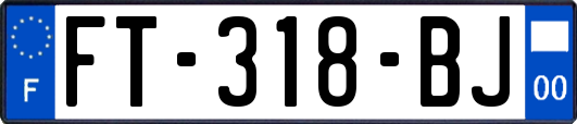 FT-318-BJ