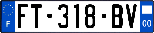 FT-318-BV