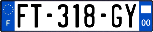 FT-318-GY
