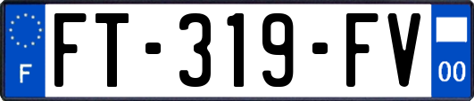 FT-319-FV