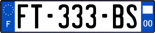 FT-333-BS