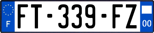 FT-339-FZ