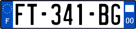 FT-341-BG