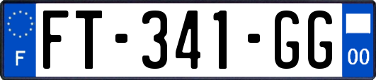 FT-341-GG