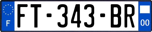 FT-343-BR