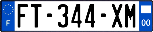 FT-344-XM