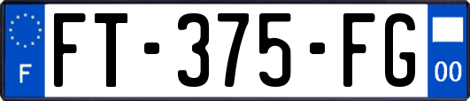 FT-375-FG