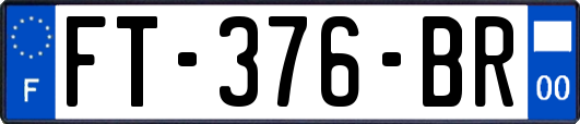 FT-376-BR